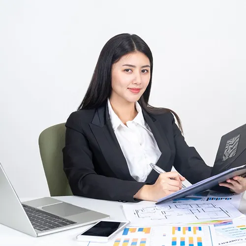 Sales Executive